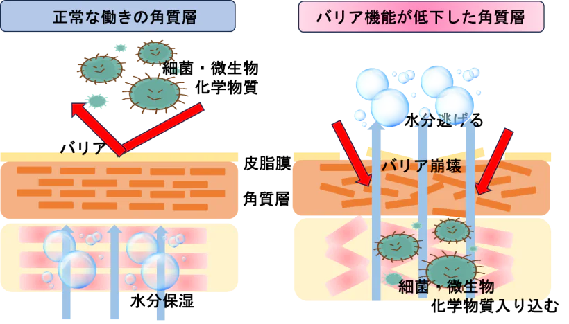 吉泉館 竹翠亭 下呂温泉～お食事編: