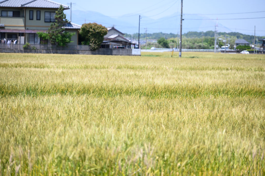 あべ まりあ ✝