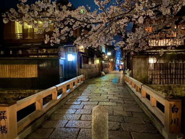 夜桜＠大阪・桃ヶ池公園