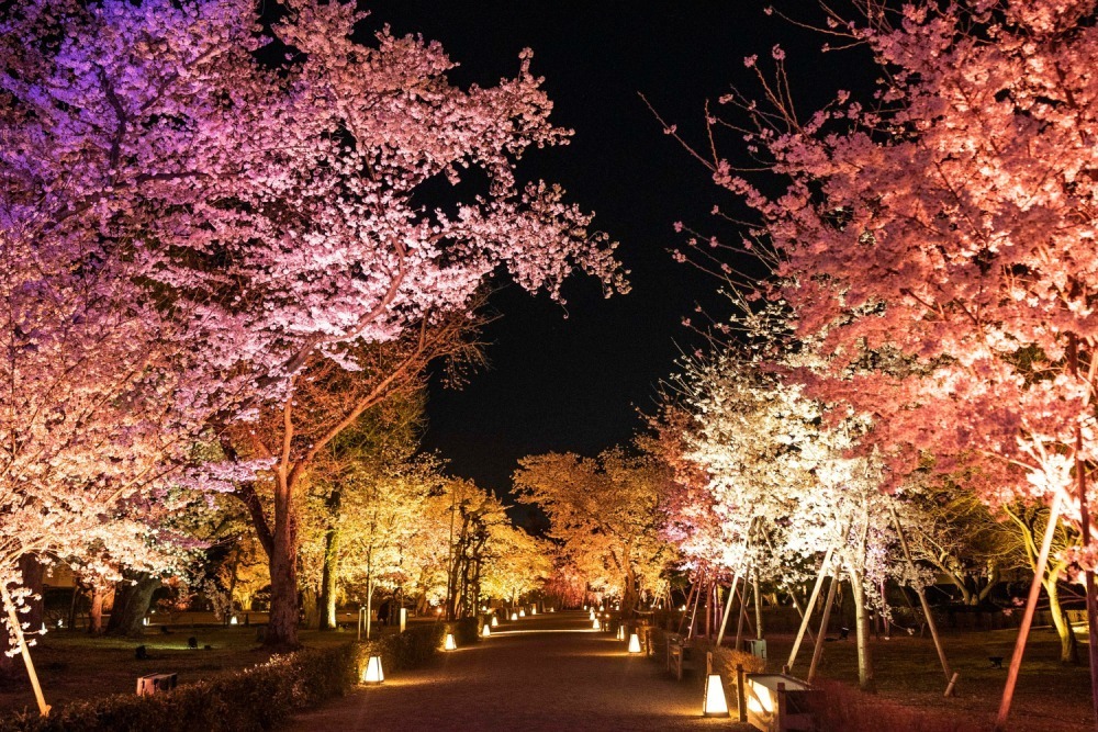 4K Osaka Castle Night