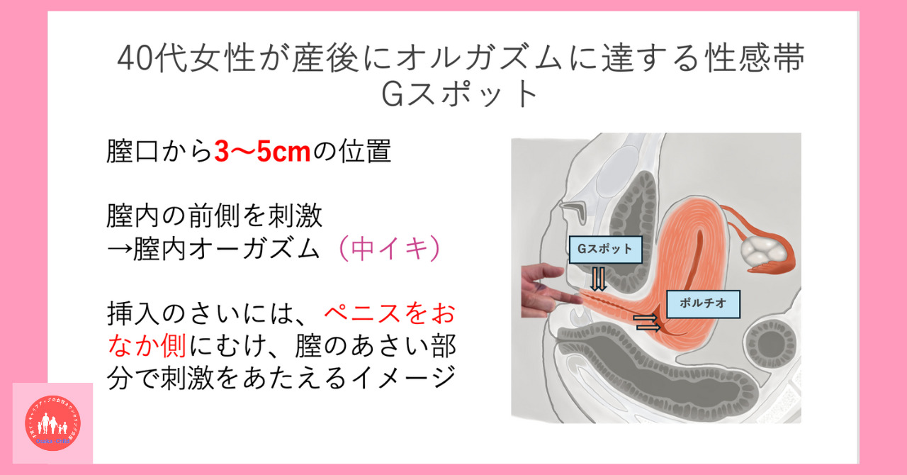 Gスポットの正しい位置とイカせる刺激方法【完全図解】 | セクテクサイト