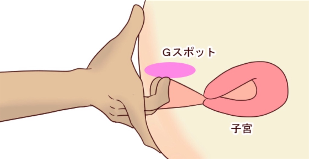 女性が「感じる」メカニズム Gスポットは気持ち良い「から」現れる快感スポット｜感じるところ｜森田敦子 - 幻冬舎plus