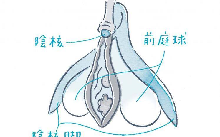 Gスポット開発とは？場所と位置の見つけ方 - 夜の保健室