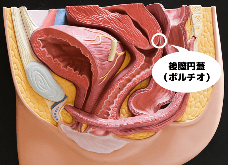 セックスで「イク」方法って？ 絶頂を味わうオーガズムのHow To教えます |