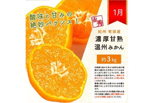 創業84年 愛媛みかん の老舗／【送料無料】【ギフト】【産地直送】愛媛西宇和産