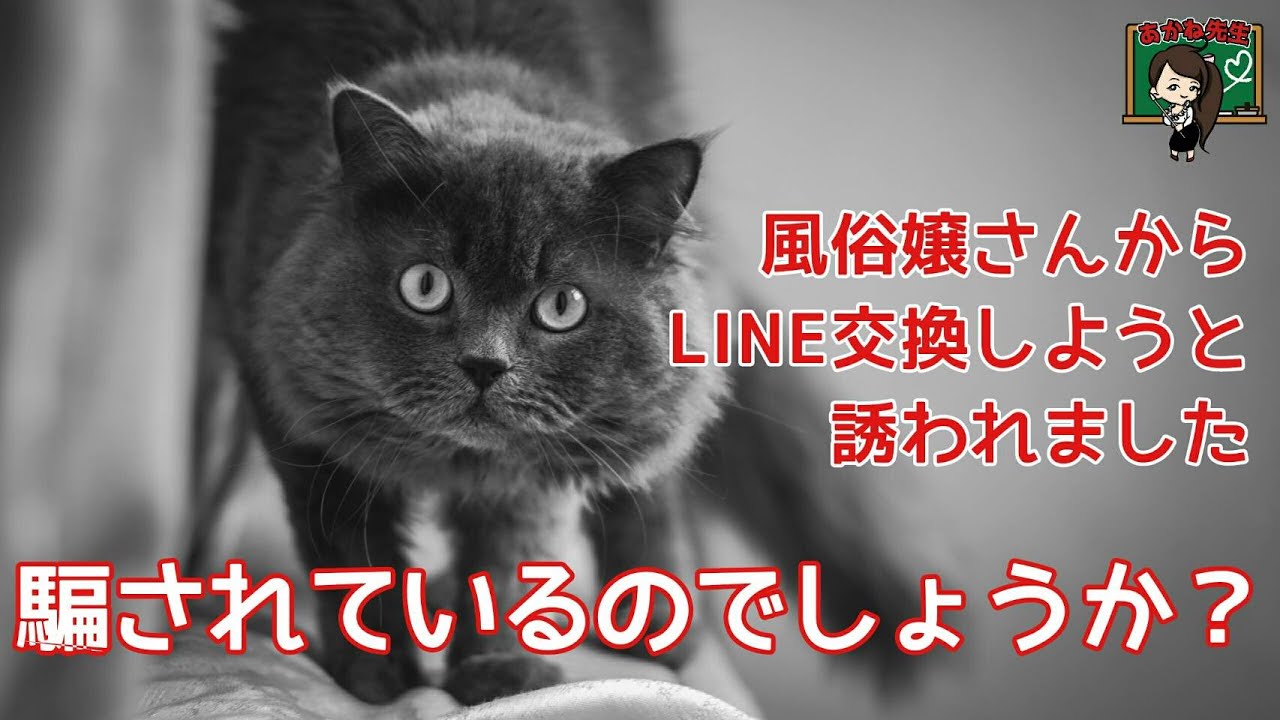 勘違い厳禁。風俗嬢とのメールやLINEの常識。 - 高級デリヘルコラム