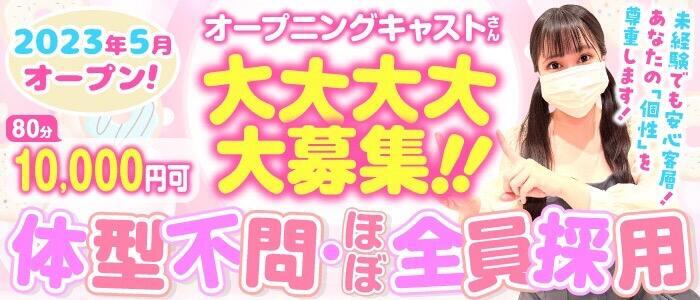 池袋ヘルス高収入求人情報| 池袋平成女学園 ファッションヘルス 風俗