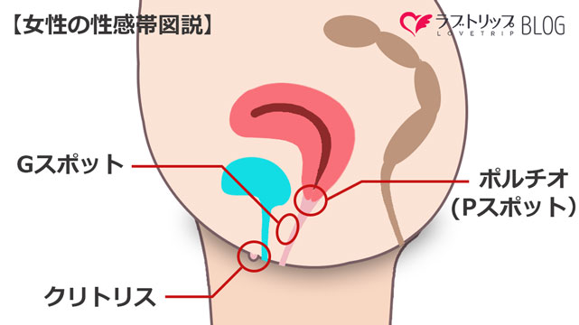 Ｇスポット開発のエロ動画 151件 - 動画エロタレスト