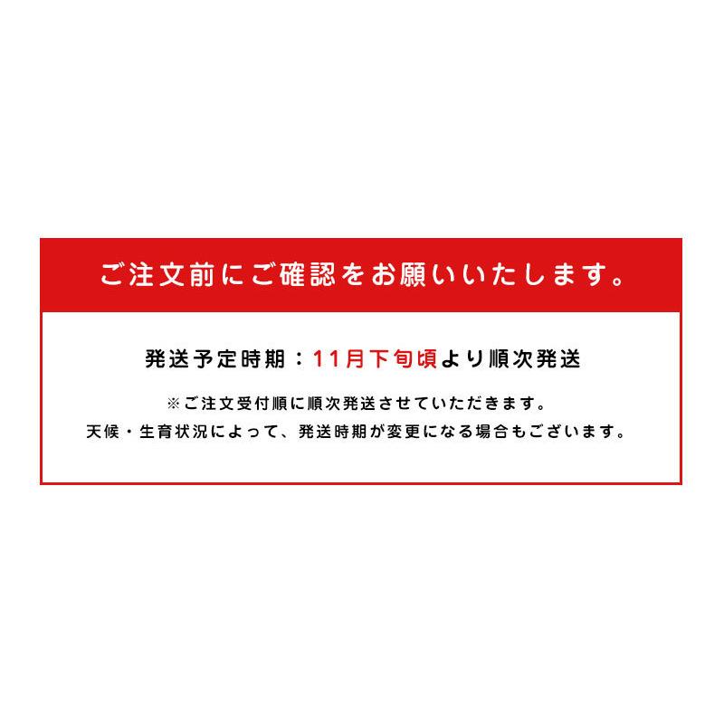 送料無料 和歌山県産下津 硲 みかん S-Mサイズ