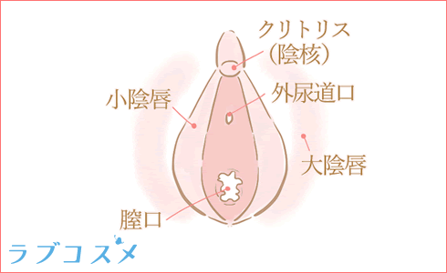 わがままグラインド騎乗位昇天ファック！上下前後左右に腰をうねらせFカップおっぱいをブルンブルン揺らして何度もイキまくる巨乳美女 - 