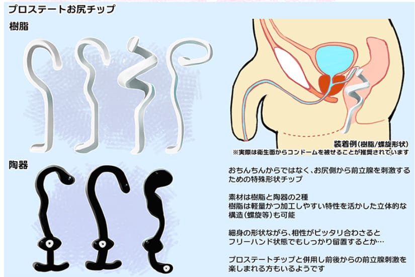 前立腺を刺激するのはアネロスのヘッド部だけとは限らない。アネロスと前立腺の位置の関係 | アネドラ