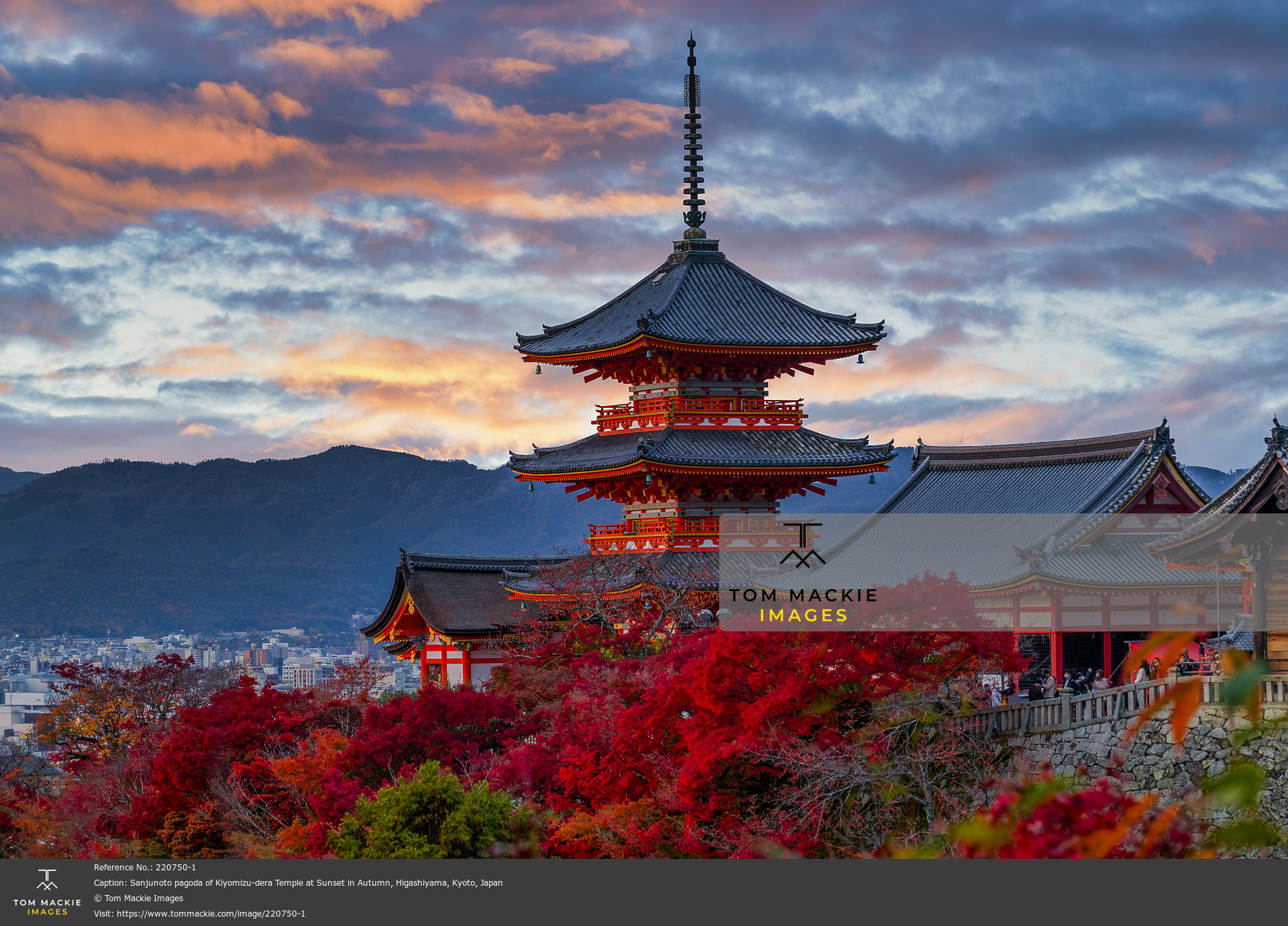 Sunset View from Fushimi Inari