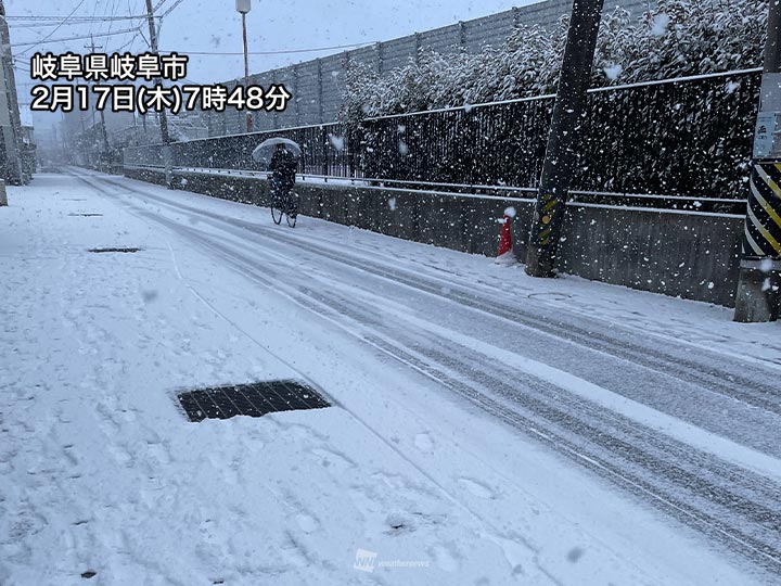 名古屋市内では10 cmの積雪があり、薬草園も雪で覆われました。 薬用植物たちも雪の中で、可憐な赤い実を付けていました。  キャンパス内には可愛い雪だるまも登場しました☃️