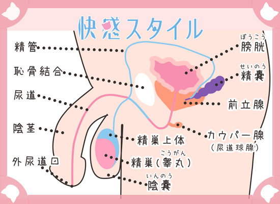 Horam アプリ制御男性用前立腺マッサージャー – Xinghaoya