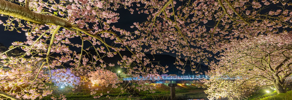 高橋みなみ／10年桜 劇場版生写真 - メルカリ