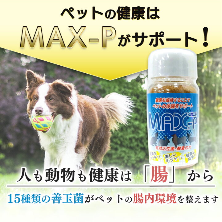 ALPACINO MAX(アルパチーノ)の店舗基本情報ページ|パチンコ スロットの機種・新台・店舗情報ならp-ken.jp