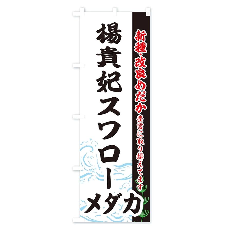 楊貴妃メダカ（稚魚） | ペットショップ ニューマウンテン