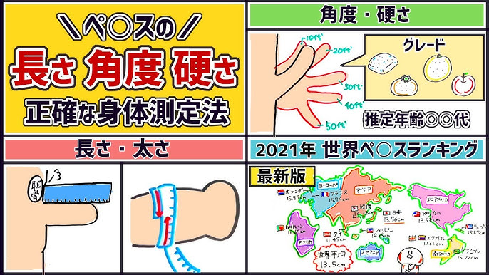 男性のペニスの平均サイズは何センチ？小さいデメリットや改善方法を解説 | ザヘルプM