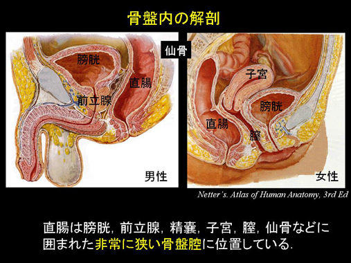 オリジナル】風紀委員はふつーに気持ちいアナルセックスが好き - 同人誌 - エロ漫画