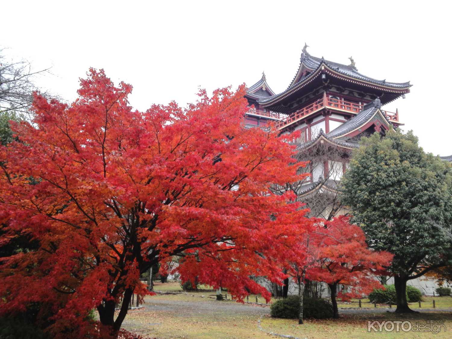 伏見桃山 | 京都府 |