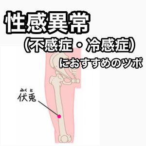 素女経秘伝・性感ツボ健康法 : 性の歓びとともに元気が出る本(長谷川五郎