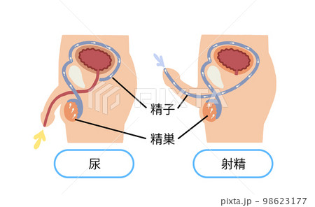 徹底解説】身近にあるオナニーに使える道具を紹介します！｜ホットパワーズマガジン