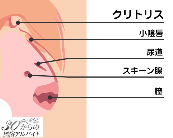 パートナーの性感帯はどこ？ 男女ともに感じる部位は…♡【男女1000人調査】 |