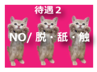 舞鶴・福知山の風俗求人・高収入バイト【はじめての風俗アルバイト（はじ風）】