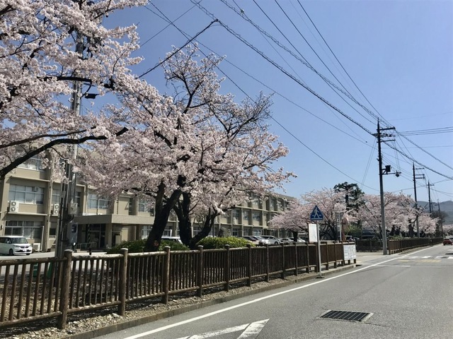 陸上競技部 全国インターハイにおいて２種目の滋賀県高校新記録樹立！ | 彦根翔西館高等学校