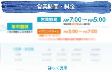 第2話】滋賀愛知川神崎川源流釣り（一寸先はゴルジュ、半歩先はヤマビル、六寸先はあまごヘブン） | ひかこの渓流釣りとバリュー投資