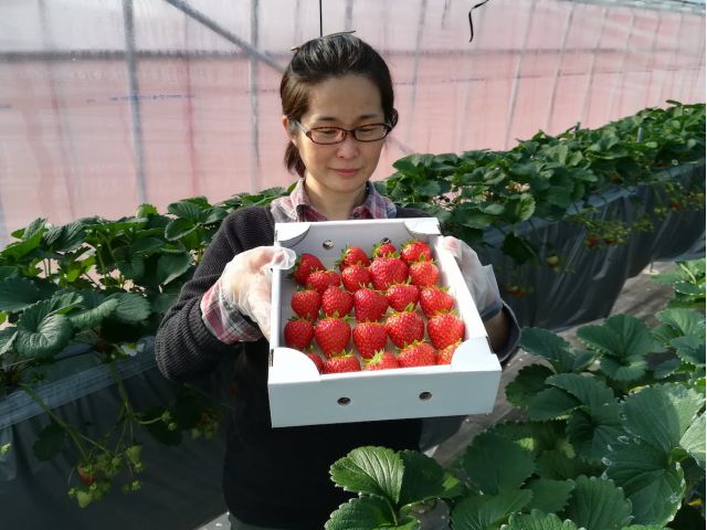 いちご大森ビル（品川区 大森・勝島）の賃貸-賃貸オフィスのオフィスター