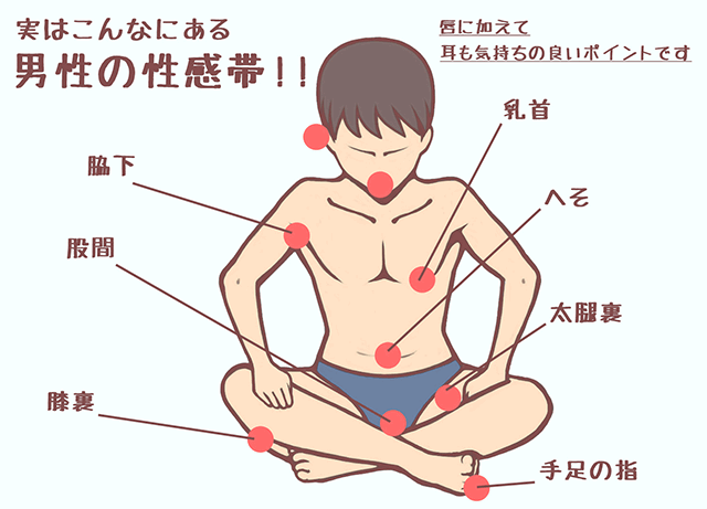 男性の性感帯の責め方♪ - ももジョブブログ