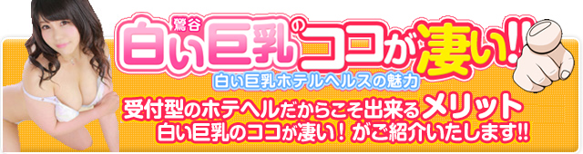 神奈川県の巨乳ホテヘルランキング｜駅ちか！人気ランキング