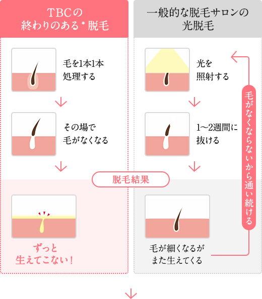 ティービーシー（TBC） エピワックスシート｜【ハンズネットストア】