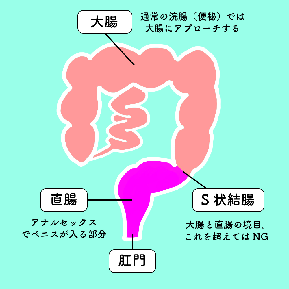 完全版】正しいアナルセックスのやり方とは？初心者向けに準備や注意点について解説！｜駅ちか！風俗雑記帳