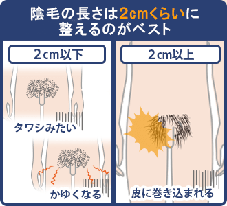 金玉の毛の処理方法｜正しい剃り方は？脱毛クリームやシェーバーなどちくちくしない方法を伝授！ | MOTEO