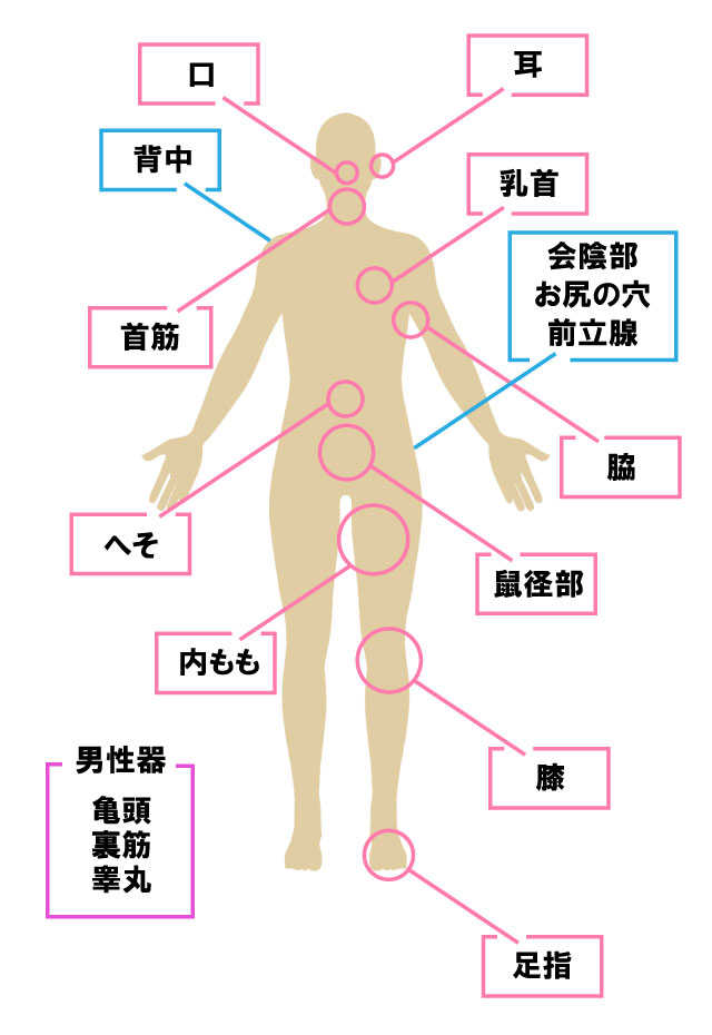 勃起力を高める!?睾丸マッサージとは？気持ちいいやり方を紹介