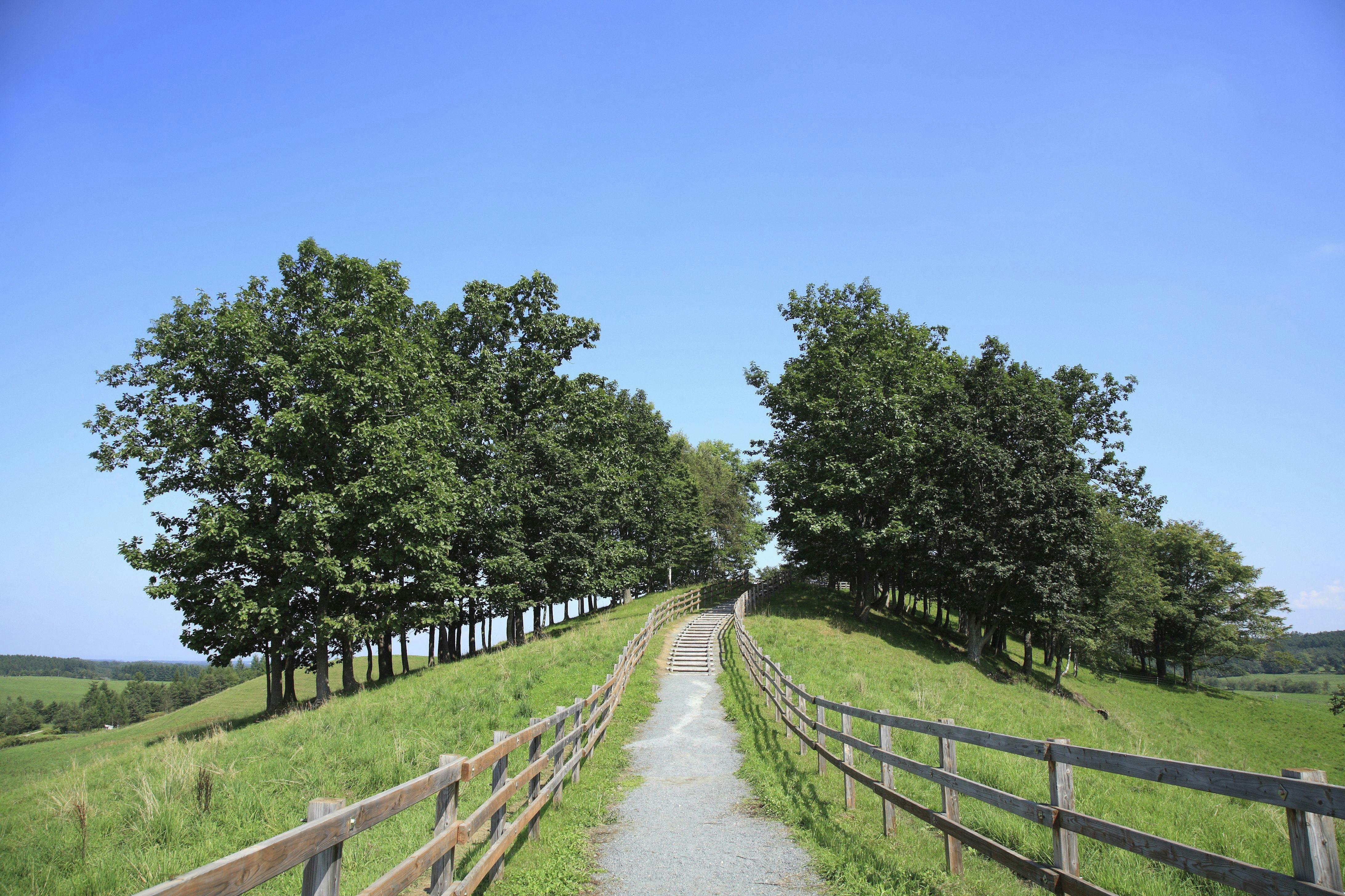 読むたのしみ（１５）「十勝ゆかりの本、集めました」 | Chaiでじ