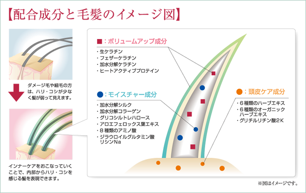 楽天市場】送料無料 ナプラ インプライム プレミアリペア 1/2/3