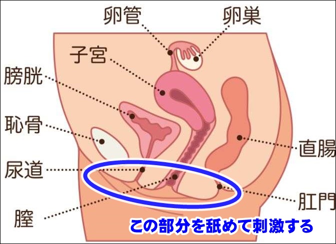 このまんこの舐め方を真似たいクンニドアップのエロ画像 - 性癖エロ画像 センギリ