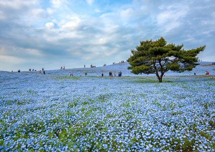 ホテル ルートインひたちなか【 2024年最新の料金比較・口コミ・宿泊予約