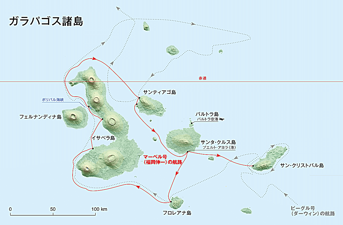 カメの長寿記録 | 川崎悟司 オフィシャルブログ 古世界の住人