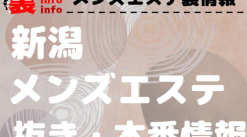 新潟で美女とセックスする3つの方法！ソープからパパ活まで全てを紹介！ | enjoy-night[エンジョイナイト]