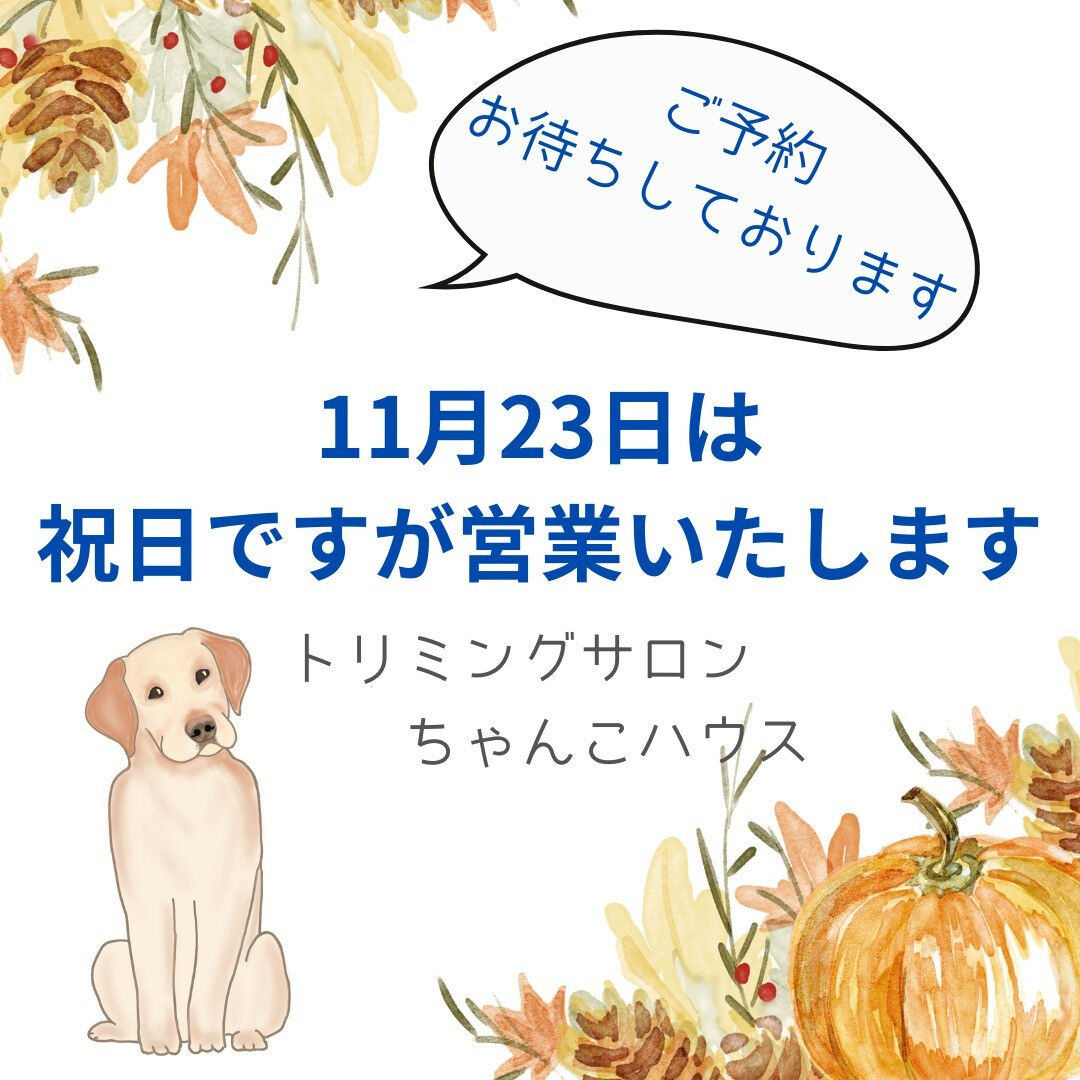 町田市その他で「ちゃんこ鍋」のあるお店 | ホットペッパーグルメ