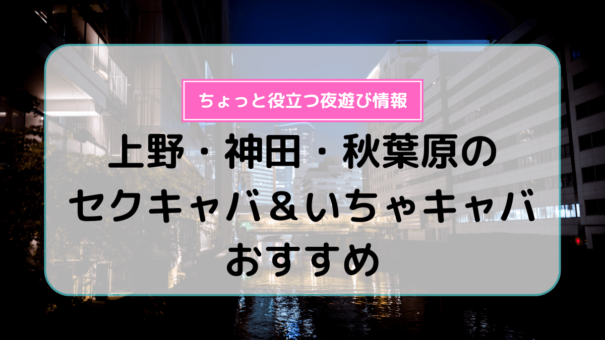 長野 セクキャバ・いちゃきゃば ランキング お店トップ4(週間)