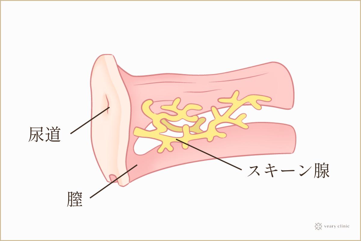 性感帯とは？女性の感じやすい場所や開発法 - 夜の保健室