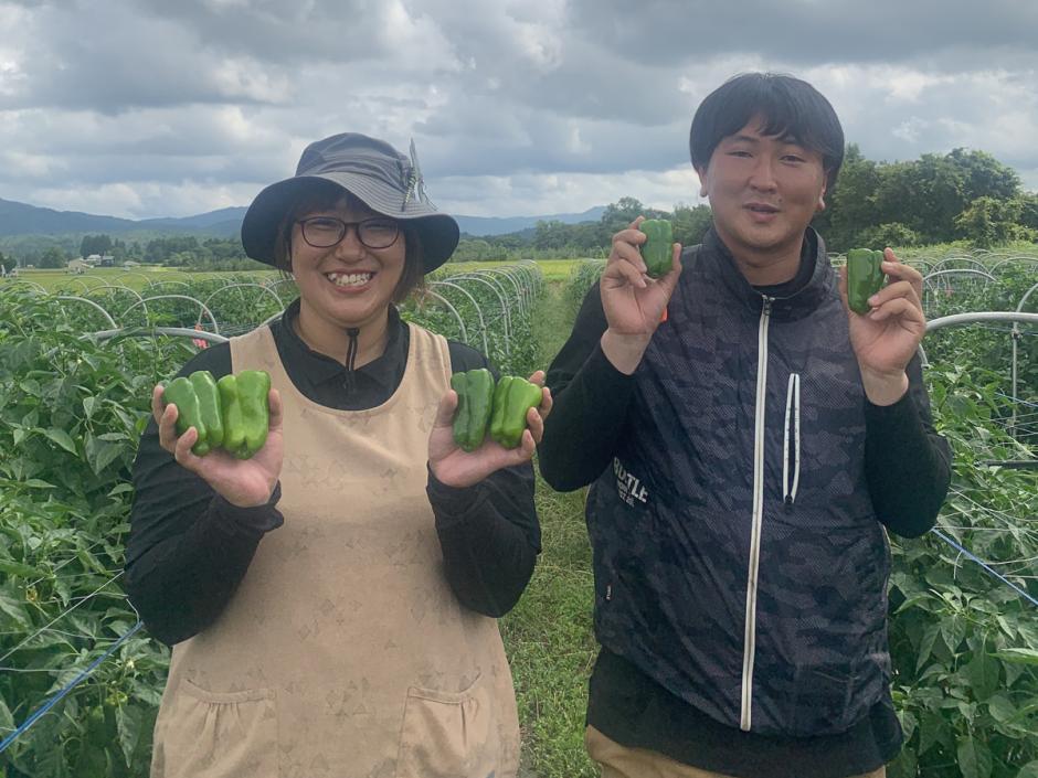 小野寺真希さん（27歳）―『moyai』コミュニティデザイナー、『荒屋デザイン』代表（2023年1月10日）｜BIGLOBEニュース