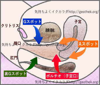 アナルが苦手なウケに贈る「アナルセックス」で気持ちよくなる方法