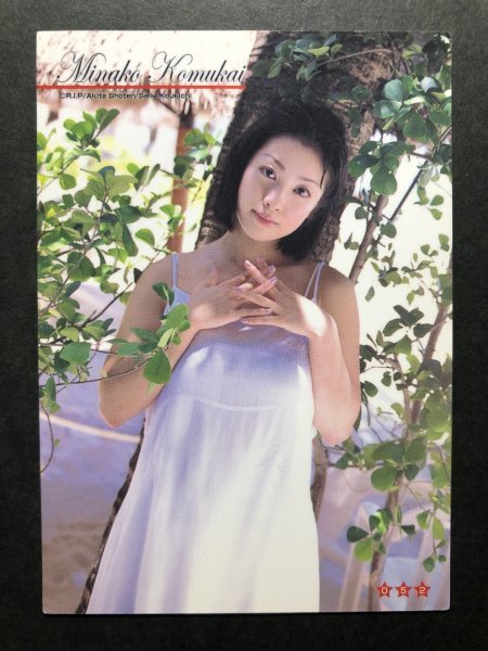 田中美奈子、セクシー＆悪役で売れた20代は「つらかった」 56歳になった今「残りの人生は自分らしく」 |