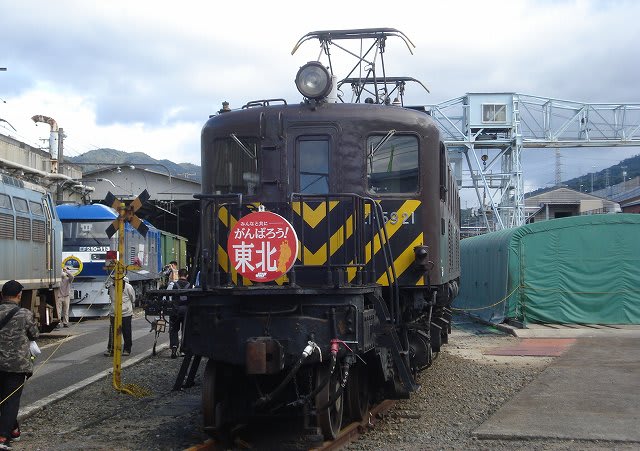 東広島・志和で育つ「サムライねぎ」｜特徴や魅力をご紹介